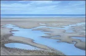 La mer est basse.