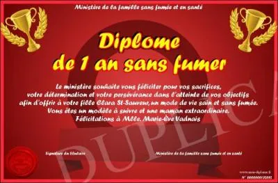 Cela fait un an que vous avez arrêté cette merde et vous emmerdez tous les fumeurs ! Tous vos anciens amis, compagnons de drogue, prennent leurs poses au bureau en vous fuyant mais vous en avez rien à cirer, vous avez reçu un bout de papier qui vous diplôme mais la chose la plus importante est :