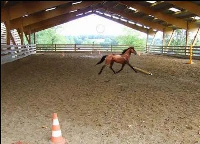 Le moniteur annonce : « C'est fini, tu as bien travaillé ! ». Que dois-je faire ?