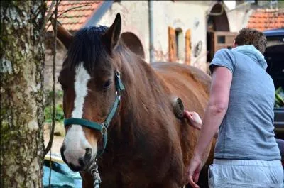 À la fin de la leçon, que faut-il que je fasse ?