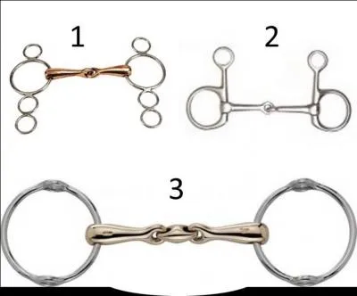 Mon moniteur me dit que Chocolat a besoin d'un mors Pessoa. Lequel est-ce ?