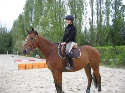 Arrivé(e) dans le manège, je ne sais pas quoi faire.