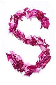 Vous êtes tous très ... du CE1, ... il doit bien vous rester quelque chose !