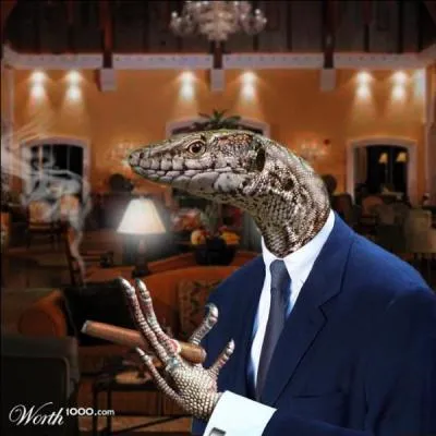 Attention, ce reptile fait penser à un lézard, mais il porte un nom différent, compte bien les lettres !