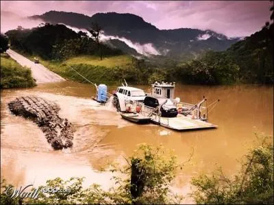 Celui-là, il vaut mieux éviter d'aller le caresser !
