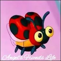 Comment se nomme la coccinelle de la première ange ?