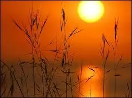 D'après une chanson de Claude François, quel jour de la semaine est au soleil ?