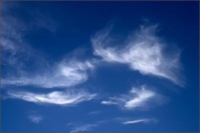 Ils prônent une « religion naturelle » qui se vit par l'expérience individuelle et qui ne repose pas sur une tradition écrite. Pour certains d'eux, on peut avoir une relation avec Dieu mais elle est directe (notamment par la contemplation). Par conséquent c'est d'une croyance individuelle et irréligieuse. Il s'agit...