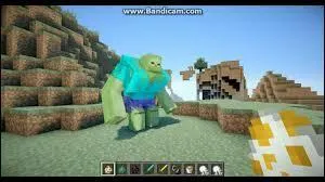 Comment s'appelle ce golem ?