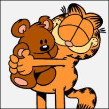 Quel est le nom de l'ours en peluche du chat Garfield ?