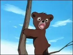 Lequel de ces noms est celui de l'ours sur l'image ?