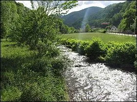 Quelle est la longueur de l'Ourse (Ourse de Ferrère) ?