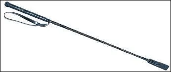 Comment cela s'appelle-t-il ? : ) (Très facile)