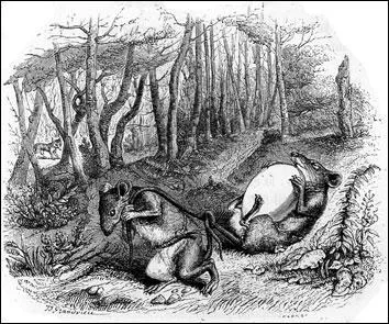 Ils voulurent sauver la pitance trouvée. De qui les rats devaient-ils protéger l'uf ?