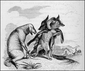 De quoi le renard souffrait-il dans la fable Le Loup et le Renard ?