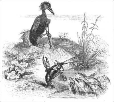 Quel oiseau fit croire qu'il voulait sauver la république des poissons à condition de changer de vivier ?