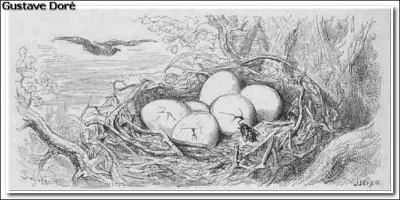 Quel animal fut dévoré par l'aigle mais régulièrement vengé par l'Escarbot son compère ?