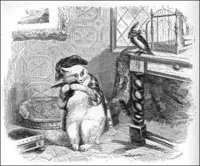 Le chat croqua l'étranger qui avait eu l'impudence de se quereller avec son plus tendre ami. Qui donc encourut la colère du chat ?