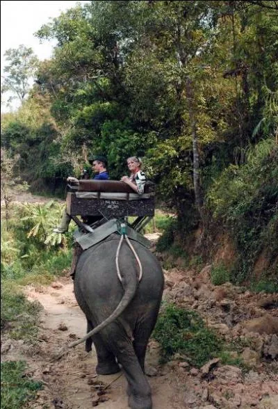 La réponse est éléphantesque, mon cher quizzeur, cherche-la dans les Alpes !