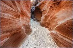 Que réclamez-vous ici ?