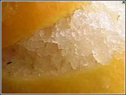 Quelle est la saveur de ce fruit ?