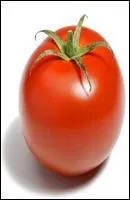 Qu'est-ce que c'est ?