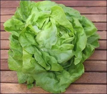 Qu'est-ce que c'est ?