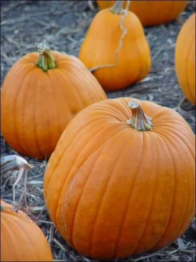 Qu'est-ce que c'est ?