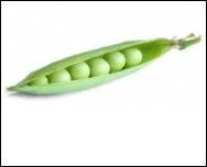 Qu'est-ce que c'est ?