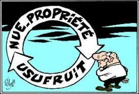 En quoi consiste l'usufruit ?