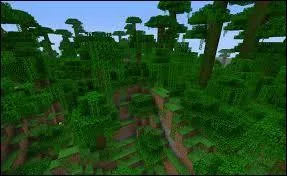 Comment s'appelle cette map ?