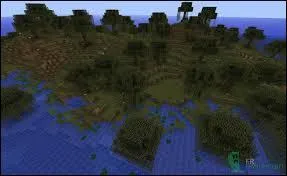 Comment s'appelle cette map ?