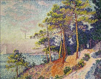 Qui a peint Sentier des douaniers à Saint Tropez ?