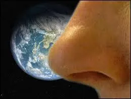 Relevez la liste des verbes qui indiquent déjà la qualité de l'odeur ?