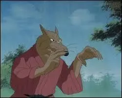Que veut dire Splinter ?