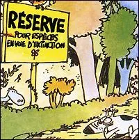 Apr&egrave;s tout cela, si malgr&eacute; tout vous savez "accorder vos badigoinces", cela peut suffire ! N'est-ce pas ?