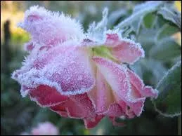 Tiens, il y a du givre qui se forme ! Quel est le verbe ?