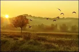 Comment traduit-on "faire jour" ?