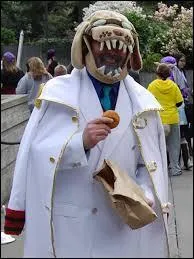 Quel est ce cosplay ?