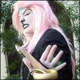 Quel est ce cosplay ?