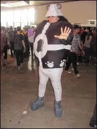 Quel est ce cosplay ?
