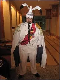 Quel est ce cosplay ?