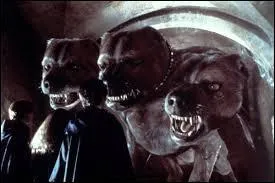 Comment s'appelle le chien &agrave; trois t&ecirc;tes d'Hagrid ?