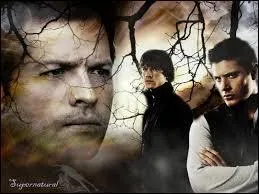 Quelle est l'image de couverture de la saison 6 ?