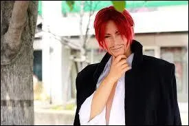 Quel est ce cosplay ?