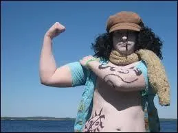 Quel est ce cosplay ?