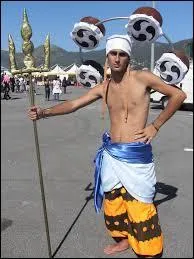 Quel est ce cosplay ?