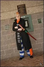 Quel est ce cosplay ?