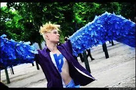 Quel est ce cosplay ?