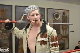 Quel est ce cosplay ?